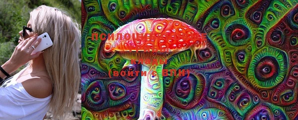 мескалин Инта