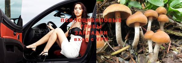 кокаин премиум Инсар