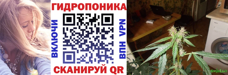 купить наркотик  Новый Оскол  Бошки марихуана SATIVA & INDICA 